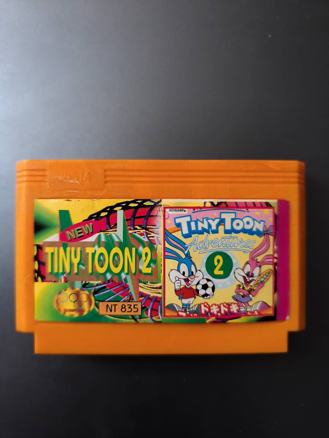Tiny Toon Adventures 2