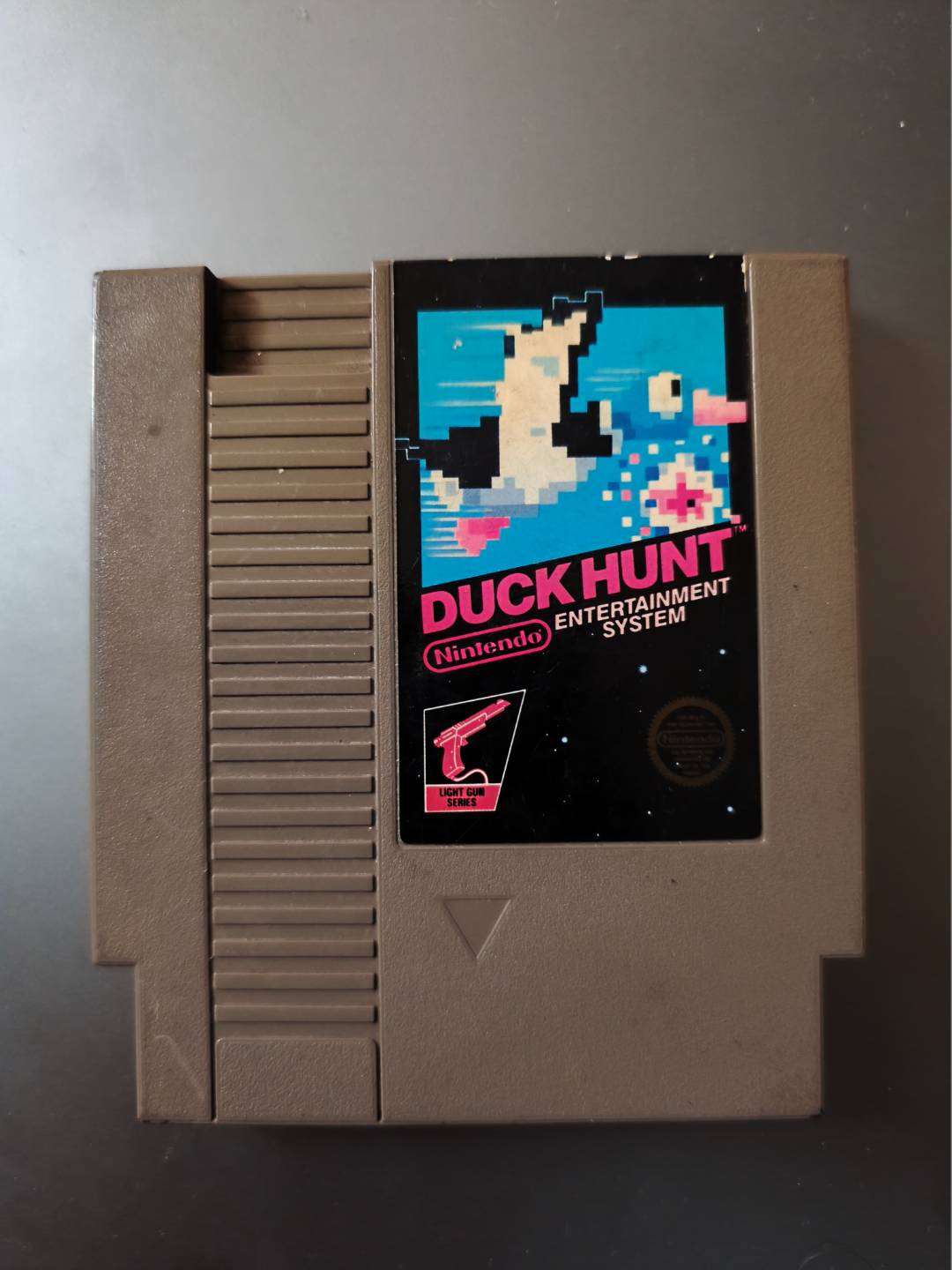 Duck Hunt